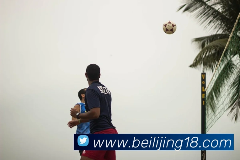 ayx官网是多少品牌故事